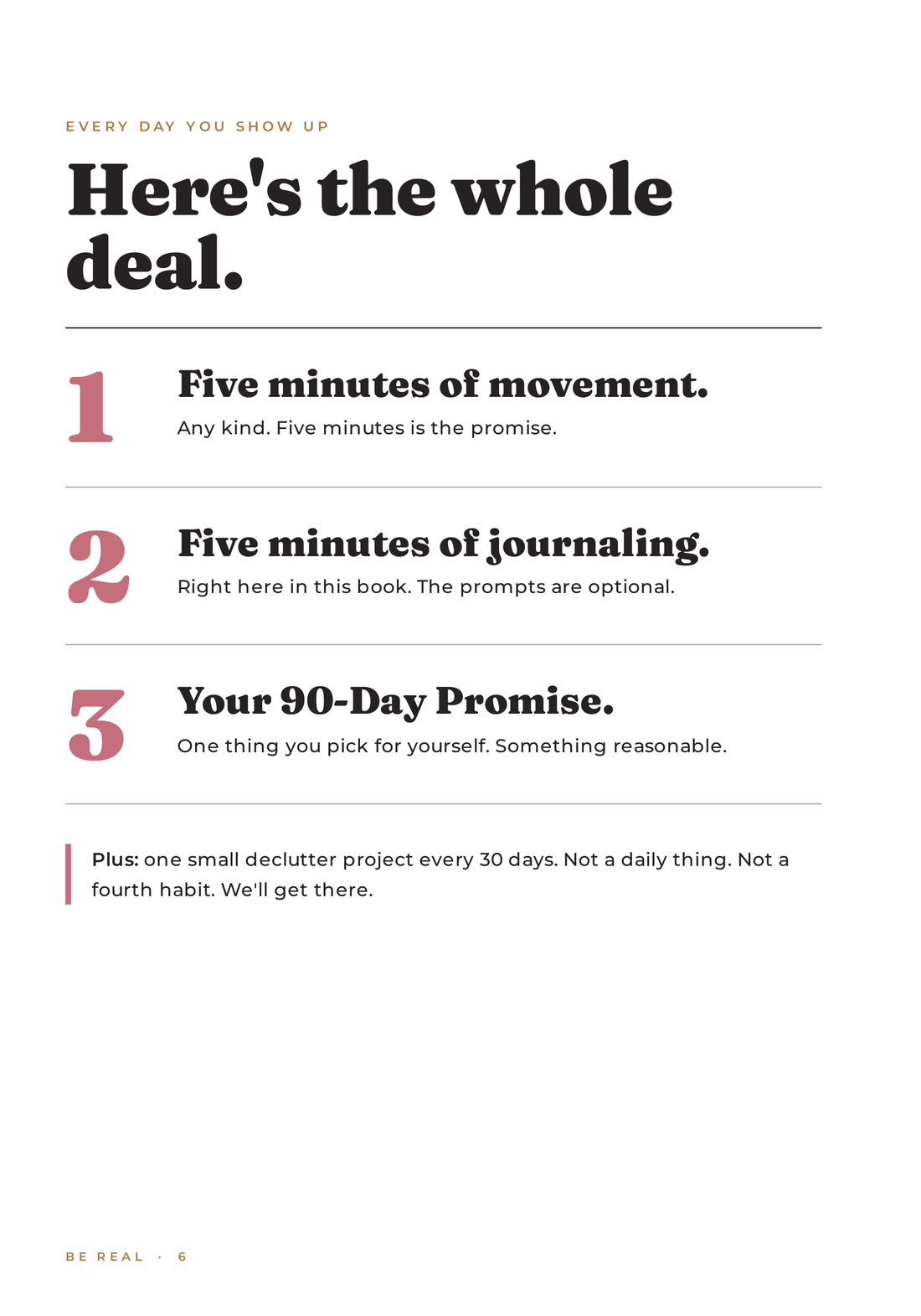 Here's the whole deal page from the It Fucking Counts journal
